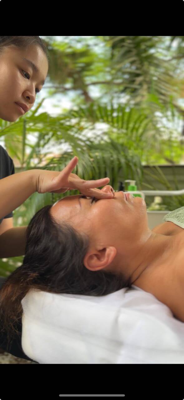 Facial Massage Session / Lieu trinh massage mat