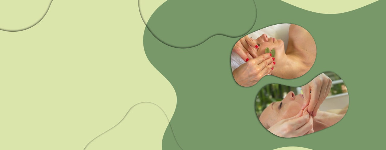 Rebloom offer / Ưu đãi Rebloom